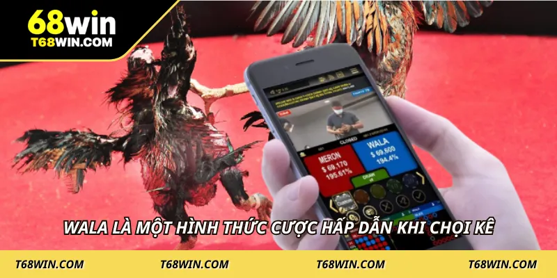 Wala là một hình thức cược hấp dẫn khi chọi kê
