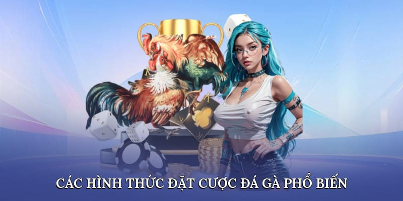 Quy tắc và cách hoạt động